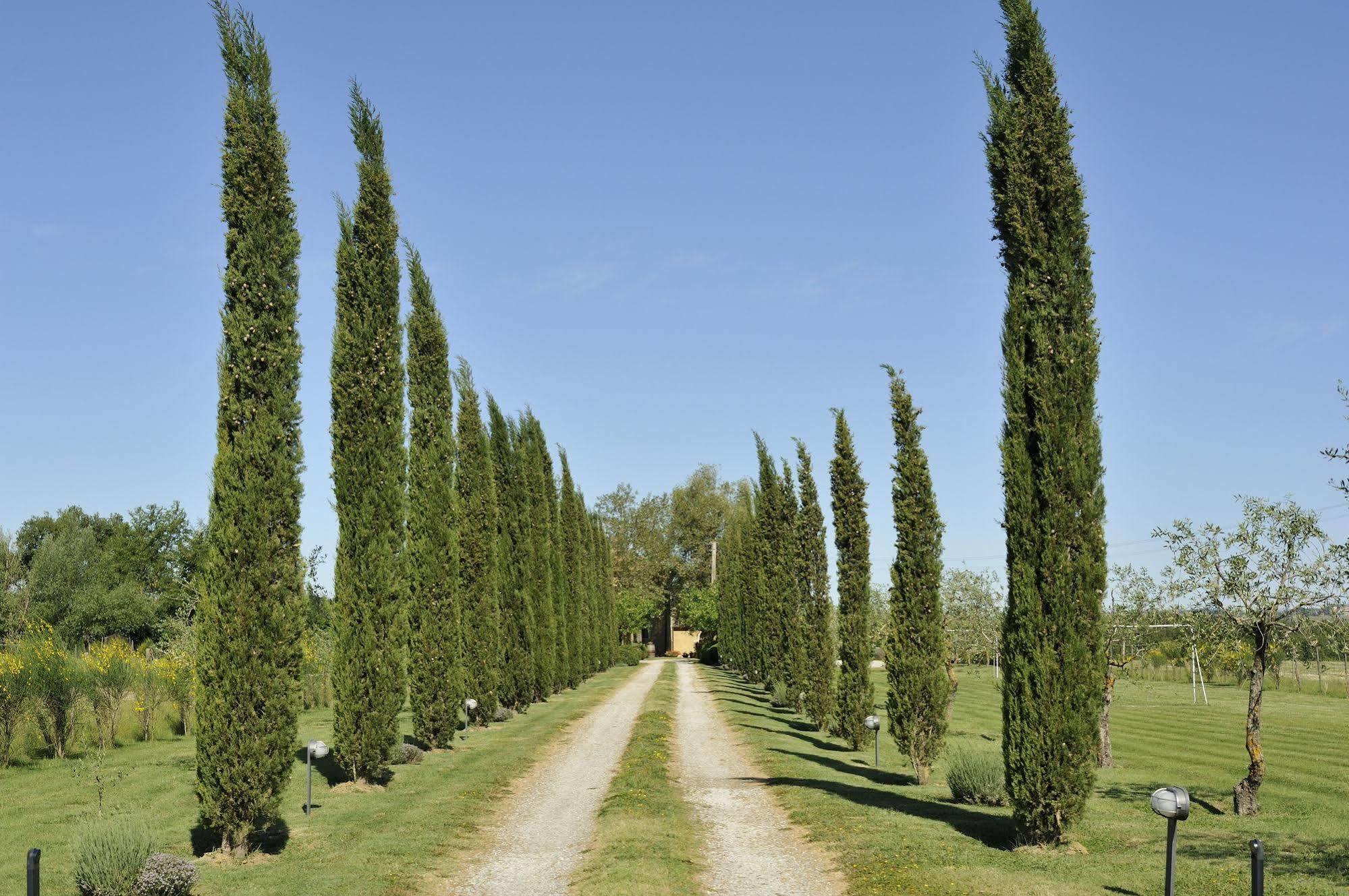 Agriturismo La Lodola คาสเตลนูโอโว เบราร์เดนกา ภายนอก รูปภาพ